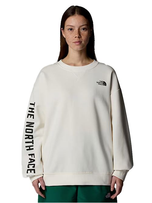 THE NORTH FACE Varsity Graphic Hoodie THE NORTH FACE | NF0A89CRQLI1